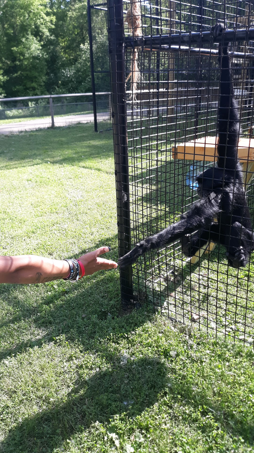 Dakota zoo
